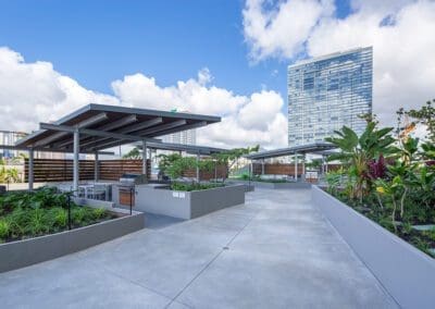 Ae'o 3704 - For Sale